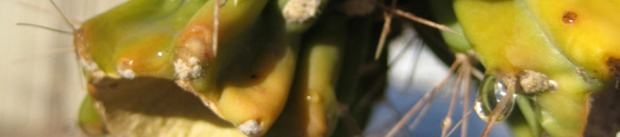 far reaching - for a digital world.