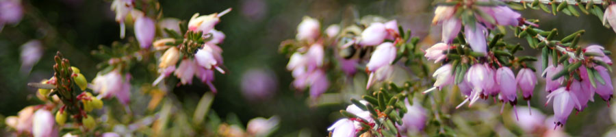 far reaching - for a digital world.