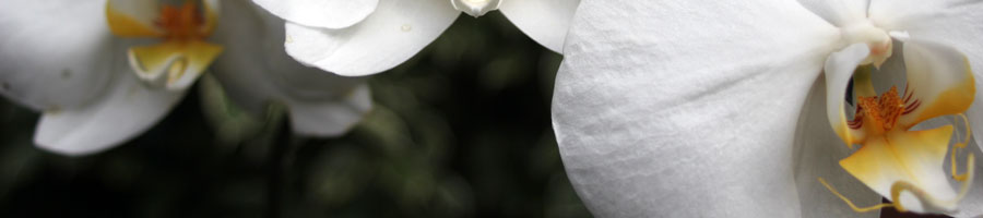 far reaching - for a digital world.