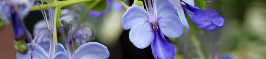 far reaching - for a digital world.