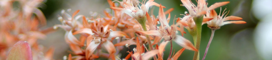 far reaching - for a digital world.