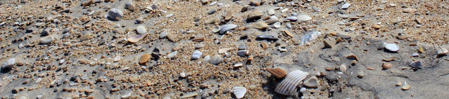 far reaching - for a digital world.