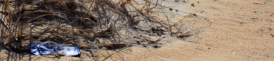 far reaching - for a digital world.