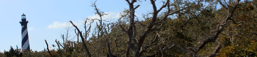 far reaching - for a digital world.