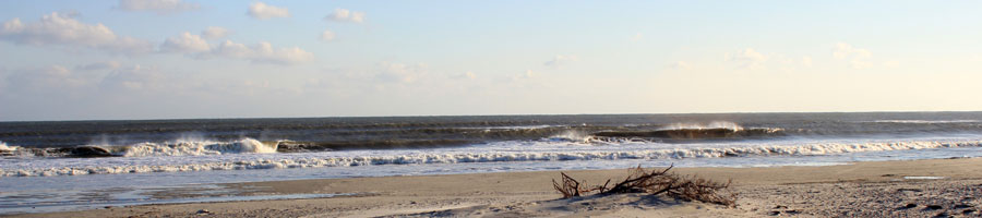 far reaching - for a digital world.