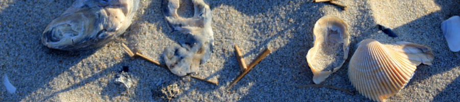 far reaching - for a digital world.