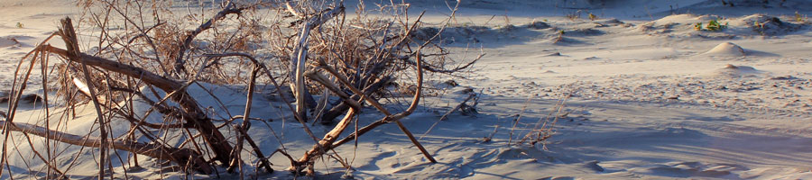 far reaching - for a digital world.