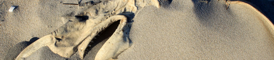 far reaching - for a digital world.