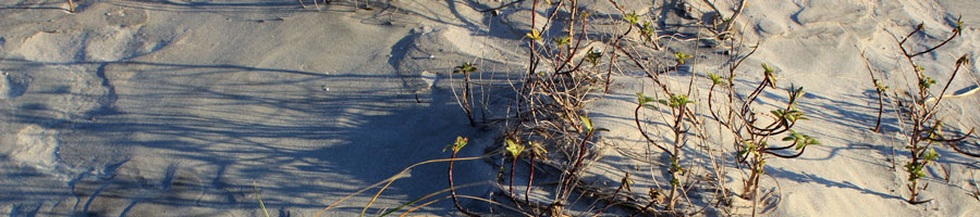 far reaching - for a digital world.