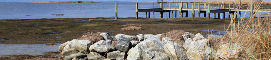 far reaching - for a digital world.