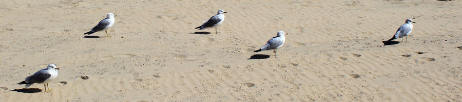 far reaching - for a digital world.