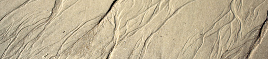 far reaching - for a digital world.