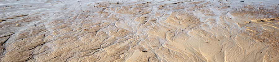 far reaching - for a digital world.