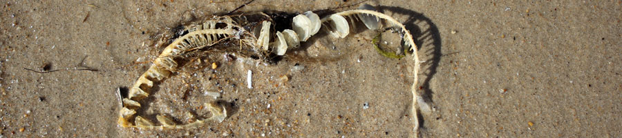 far reaching - for a digital world.