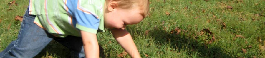 far reaching - for a digital world.