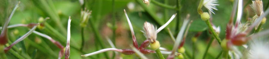 far reaching - for a digital world.