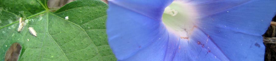 far reaching - for a digital world.