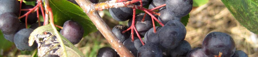 far reaching - for a digital world.