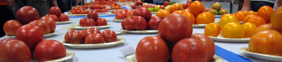 far reaching - for a digital world.