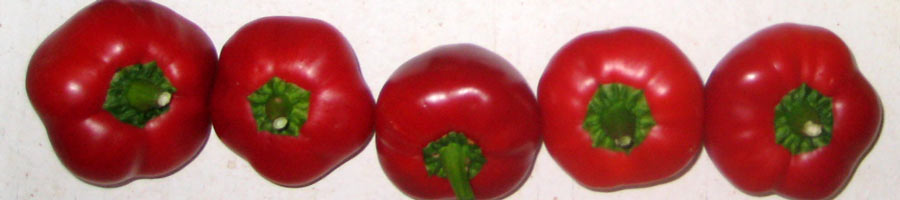 far reaching - for a digital world.