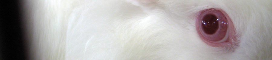 far reaching - for a digital world.