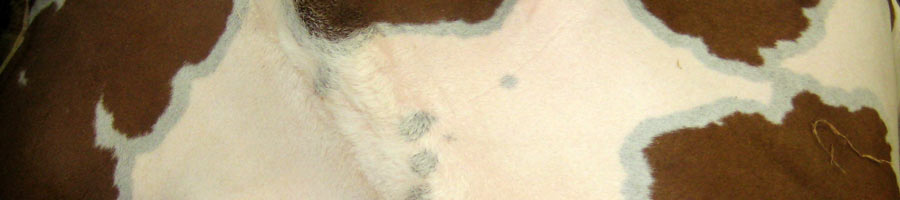 far reaching - for a digital world.