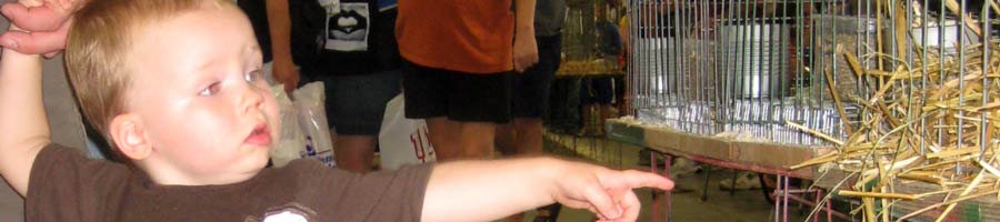 far reaching - for a digital world.