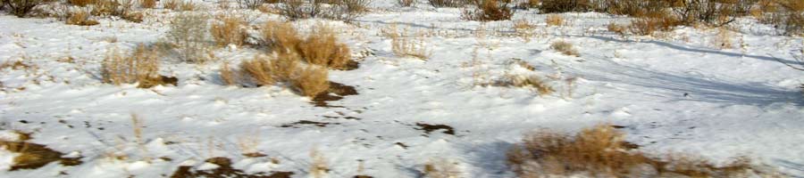 far reaching - for a digital world.