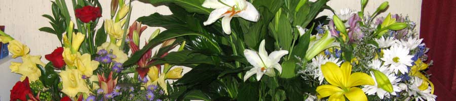 far reaching - for a digital world.