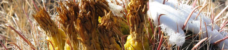 far reaching - for a digital world.