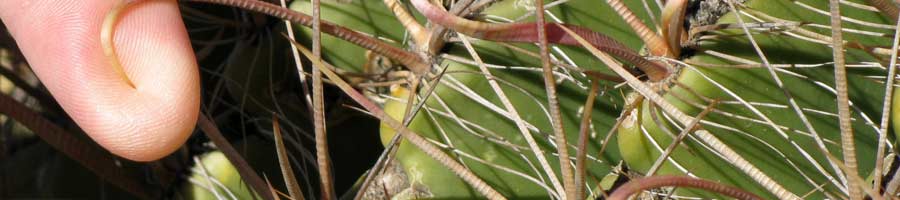 far reaching - for a digital world.