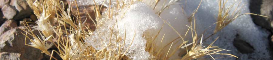 far reaching - for a digital world.