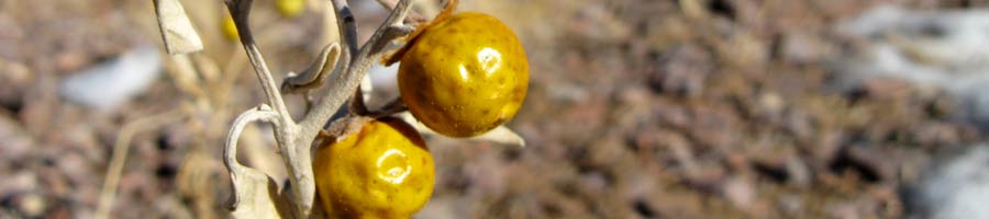 far reaching - for a digital world.