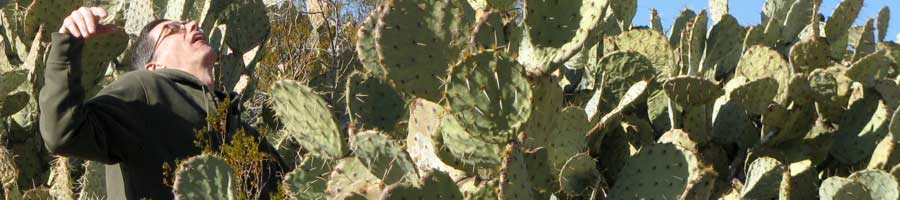 far reaching - for a digital world.