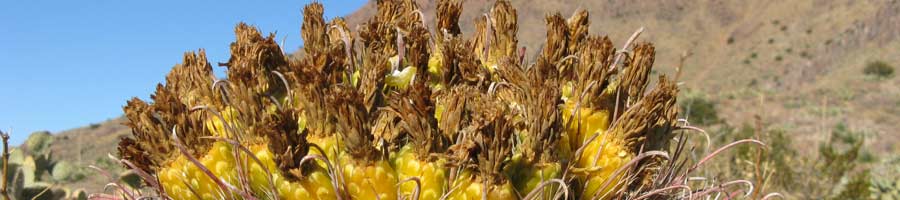 far reaching - for a digital world.